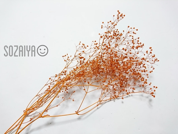 かすみ草 つぼみ ２ｇ オレンジ プリザーブドフラワー 1枚目の画像