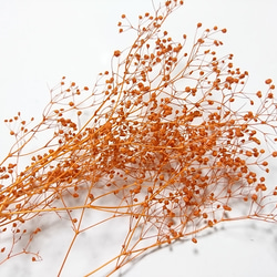 かすみ草 つぼみ ２ｇ オレンジ プリザーブドフラワー 2枚目の画像