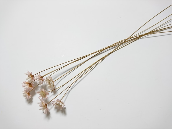 スターフラワー 茎付き 15個+2 ライトピンク ドライフラワー 2枚目の画像