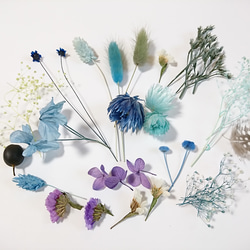 ６色から選べる花材アソート 色々セット ドライフラワー プリザーブドフラワー 3枚目の画像