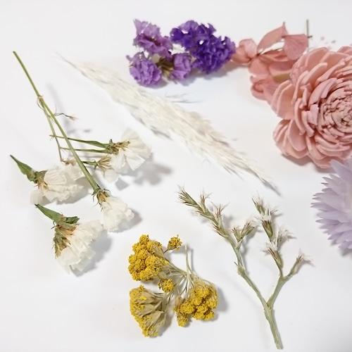 オオウバユリ 2025 収穫 茶色いプリザーブドフラワー花材 6色から