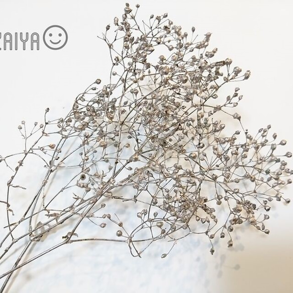 かすみ草 つぼみ 2ｇ プラチナピンク プリザーブドフラワー 1枚目の画像
