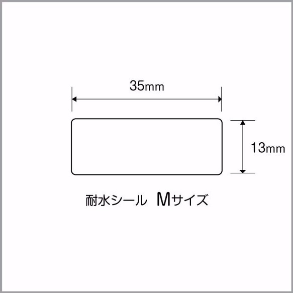 お名前シール【 コアラ 】耐水シールMサイズ 3枚目の画像