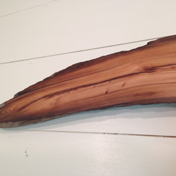 Driftwood board DB013 天然流木 クルミオイルコーティング板 6枚目の画像
