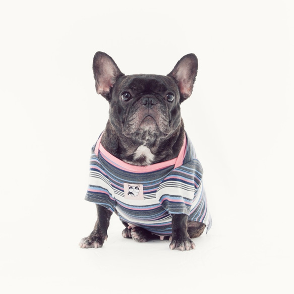 小書呆子條紋提花上衣-粉紅 法鬥 牛牛 胖狗衣 寵物衣 狗狗衣 第1張的照片