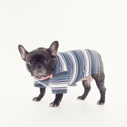 小書呆子條紋提花上衣-粉紅 法鬥 牛牛 胖狗衣 寵物衣 狗狗衣 第2張的照片