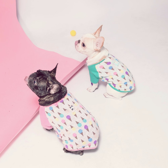 彩色冰淇淋 法鬥衣 牛牛 胖狗 寵物衣 狗狗衣 插肩袖 涼爽竹節棉上衣-粉紅 第5張的照片
