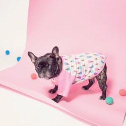 カラーアイスクリームローコートウシ脂肪犬ペット服犬服ラグランスリーブクール竹綿ジャケット - ピンク 6枚目の画像