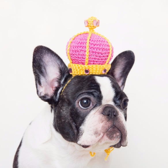 童話小皇后 寵物 狗狗 貓咪 手工編織訂製皇冠-亮桃 第2張的照片