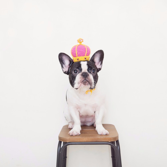童話小皇后 寵物 狗狗 貓咪 手工編織訂製皇冠-亮桃 第4張的照片