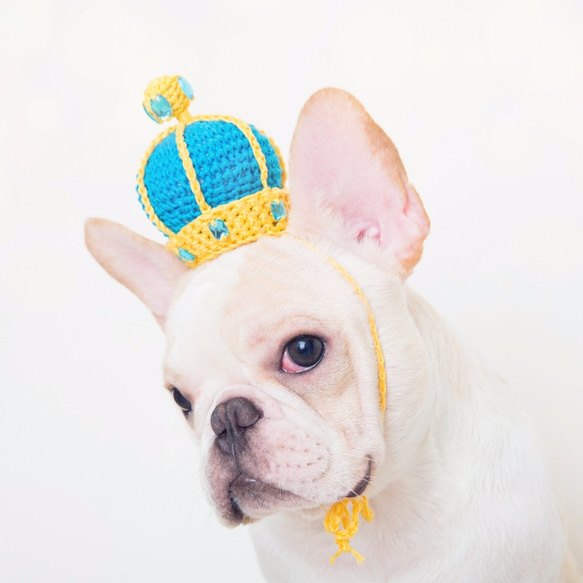 童話小國王 寵物 狗狗 貓咪 手工編織訂製皇冠-土耳其藍 第2張的照片