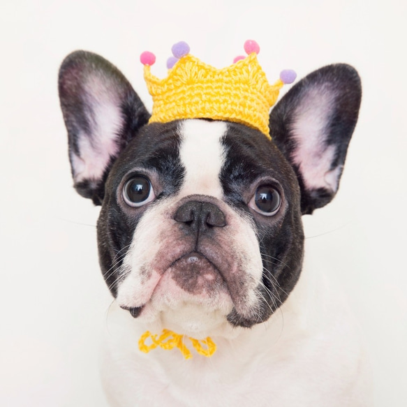 童話小公主 寵物 狗狗 貓咪 手工編織訂製皇冠 第1張的照片