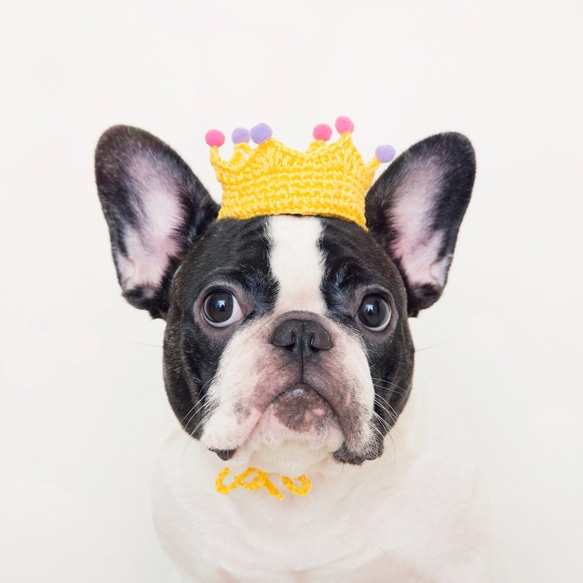 童話小公主 寵物 狗狗 貓咪 手工編織訂製皇冠 第3張的照片