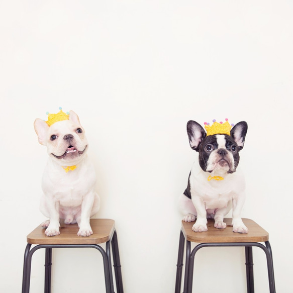 おとぎ話の小さな王女のペットの犬の猫の手織りのカスタムクラウン 5枚目の画像