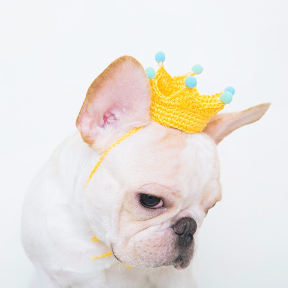 童話小王子 寵物 狗狗 貓咪 手工編織訂製皇冠 第3張的照片