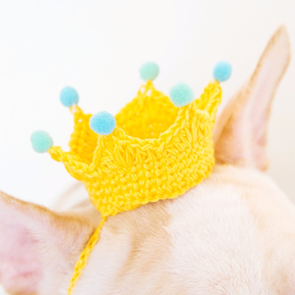 童話小王子 寵物 狗狗 貓咪 手工編織訂製皇冠 第7張的照片
