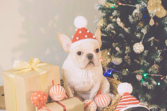 聖誕小公公編織帽（狗狗）-球球 橫紋 星星 經典款 第2張的照片