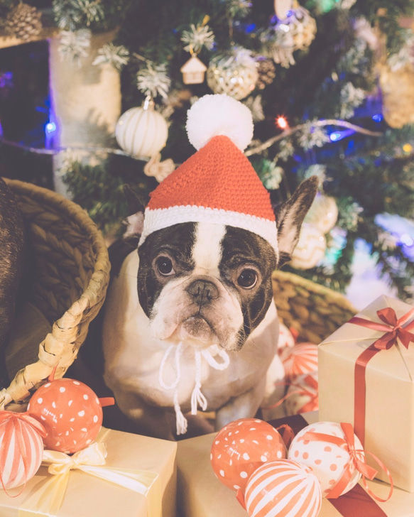 聖誕小公公編織帽（狗狗）-球球 橫紋 星星 經典款 第6張的照片