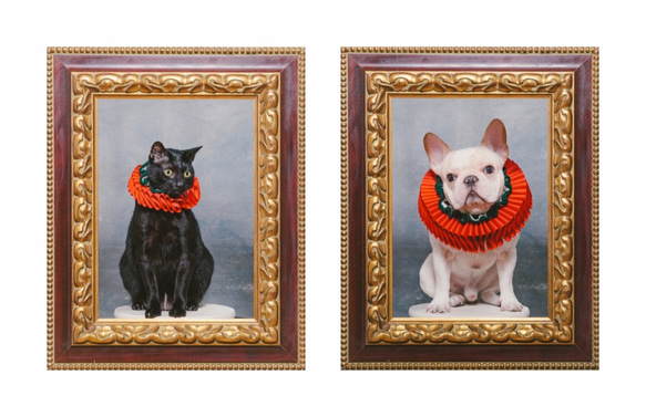 古典聖誕派對 荷葉領 拉夫領 Elizabethan Ruff Collar - 貓咪 第4張的照片