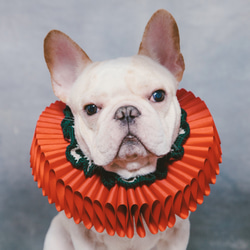 古典的なクリスマスパーティーロータスリーフラッフルカラーElizabethan Ruff Collar  -  Dog 1枚目の画像