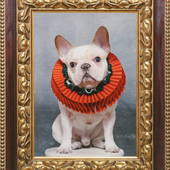 古典的なクリスマスパーティーロータスリーフラッフルカラーElizabethan Ruff Collar  -  Dog 5枚目の画像