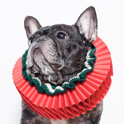 古典聖誕派對 荷葉領 拉夫領 Elizabethan Ruff Collar - 狗狗 第6張的照片