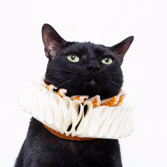 霸氣小女王伊莉莎白領Elizabethan Ruff Collar 貓咪項圈・吊牌・鍊子