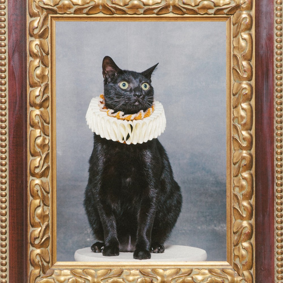 横暴な女王エリザベスエリザベスラフ襟-猫 3枚目の画像