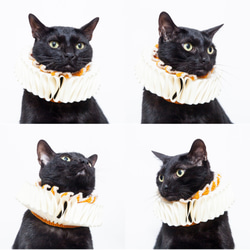 横暴な女王エリザベスエリザベスラフ襟-猫 4枚目の画像
