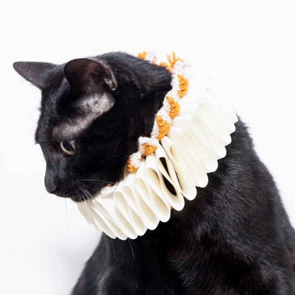 横暴な女王エリザベスエリザベスラフ襟-猫 6枚目の画像