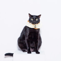 横暴な女王エリザベスエリザベスラフ襟-猫 5枚目の画像