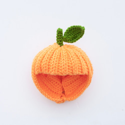水果王國系列頭套 - 橘子 桶柑 椪柑 茂谷柑 第6張的照片