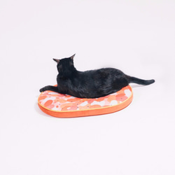 會呼吸的蒟蒻床 - 番茄蛋炒飯 - XS號貓床 - 長56*寬40*高4 CM 第3張的照片