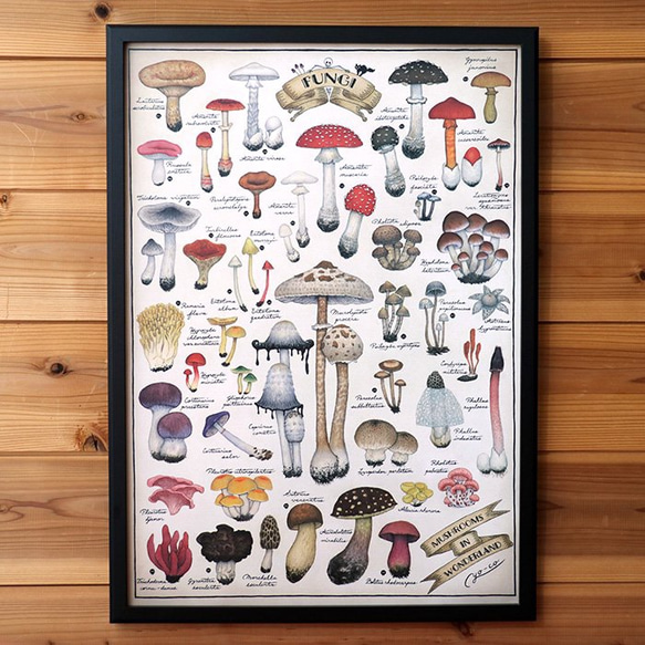 A2海報●蘑菇繪本系列3●蘑菇仙境 第3張的照片