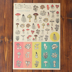 ●キノコ図鑑シリーズ● キノコと毒キノコのシール 2枚目の画像