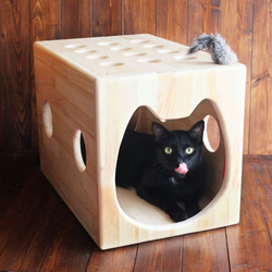 木製猫ハウス第２弾「猫じゃらトンネル」・13.CATS.WORKSオリジナル 1枚目の画像