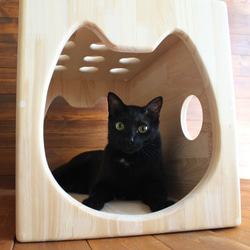 木製貓屋第二彈「貓臉隧道」 第9張的照片