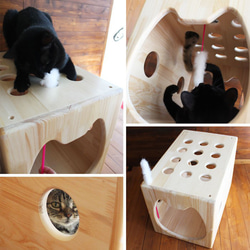 木製猫ハウス第２弾「猫じゃらトンネル」・13.CATS.WORKSオリジナル 6枚目の画像