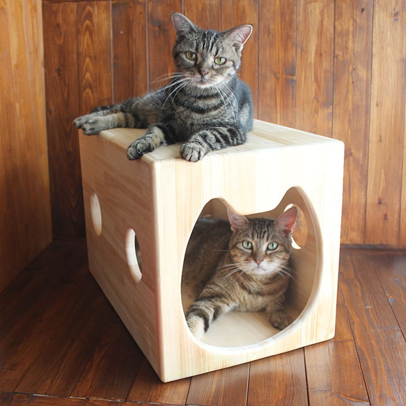 木製貓屋第 3 彈「貓屋公寓」・ 13.CATS.WORKS 原創 第1張的照片