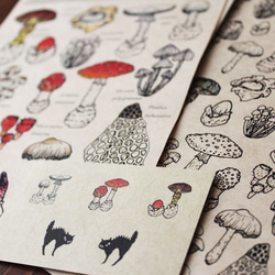 ●蘑菇繪本系列●蘑菇和有毒蘑菇的信具13.CATS.WORKS×YO-CO 第5張的照片