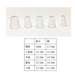  第2張的照片