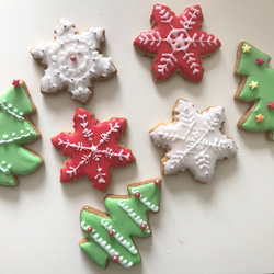 クリスマスクッキーセット imgrc0174046528.jpg