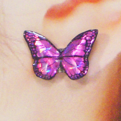 ホログラム蝶ピアス(e66) 2枚目の画像