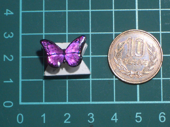 ホログラム蝶ピアス(e66) 5枚目の画像