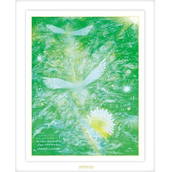 希望の輝き】翼 ,羽根,鳥 羽,樹木,青空,星,bird,おしゃれ,星空,樹木 希望の