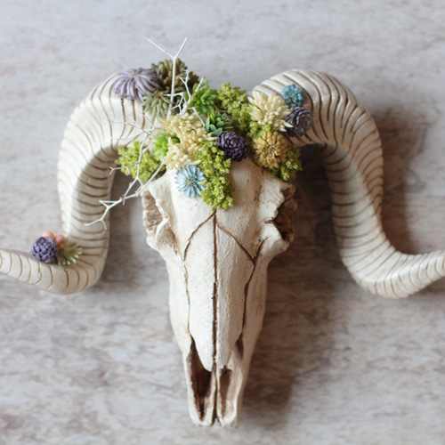 Botanical Bone – ボタニカルボーン ミニ羊 タペストリー・壁掛け