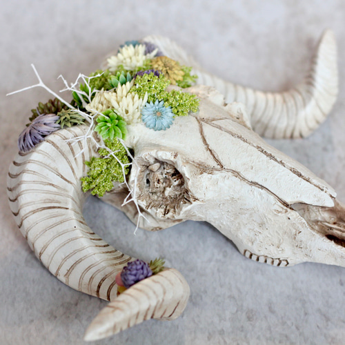 Botanical Bone – ボタニカルボーン ミニ羊 タペストリー・壁掛け