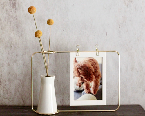 1_22228738768c3e9a677631c52720