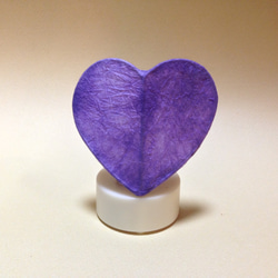 愛燈架紫色 第2張的照片