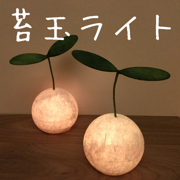 苔玉ライト 1枚目の画像